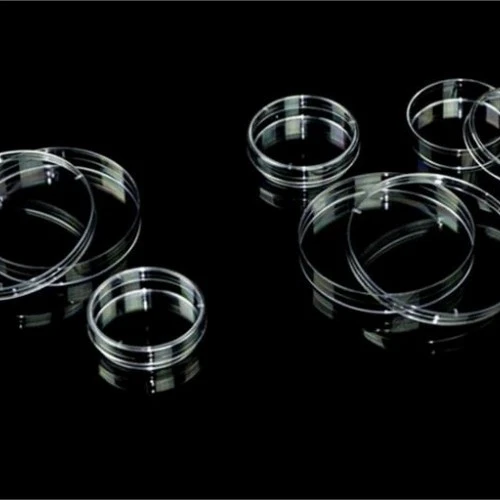 Disposable Culture Plate high quality